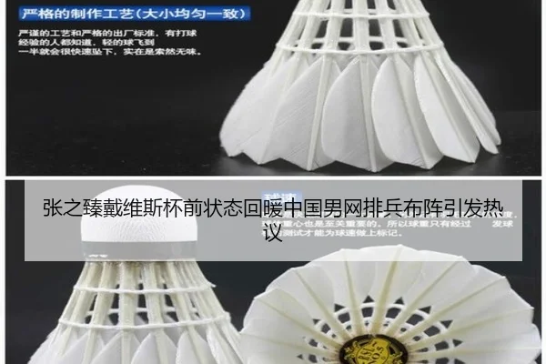 张之臻戴维斯杯前状态回暖中国男网排兵布阵引发热议
